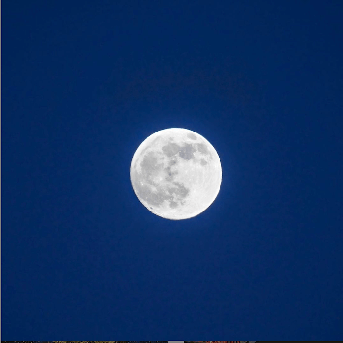 snow moon