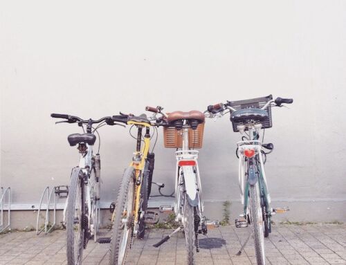 Explore the Neponset River Greenway by Bike This Sunday