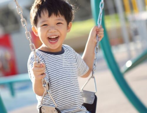 DCR Toohig Park + Playground Final Design Public Information Meeting on Monday, April 13th