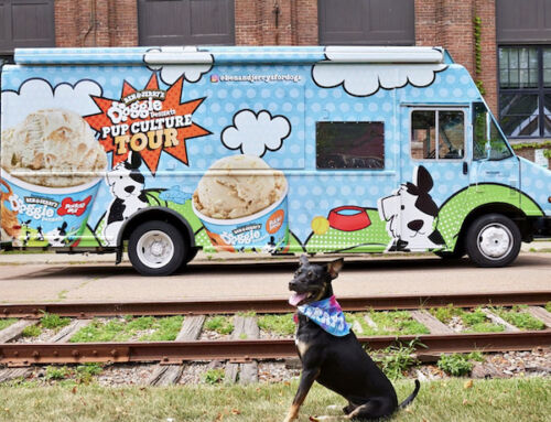 Ben + Jerry’s Doggie Desserts Pup Culture Tour coming to Boston