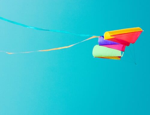 Franklin Park Kite + Bike Festival takes place on Saturday, May 16