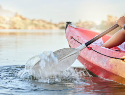 Person Rescued from the Neponset River on Friday morning.
