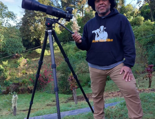 How Nature Man Mike Turned a Blink-and-You-Miss-It Sighting Into a Boston Birding Obsession