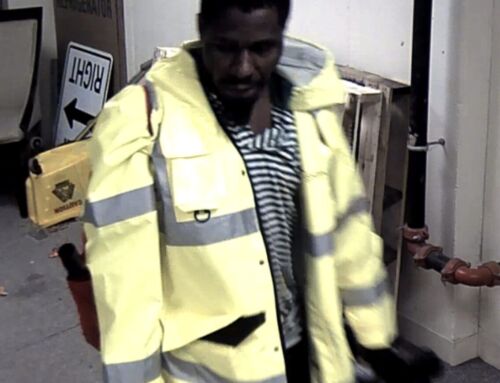 BPD Community Alert: Detectives Seek to Identify Individual Following Breaking & Entering Incident in Dorchester