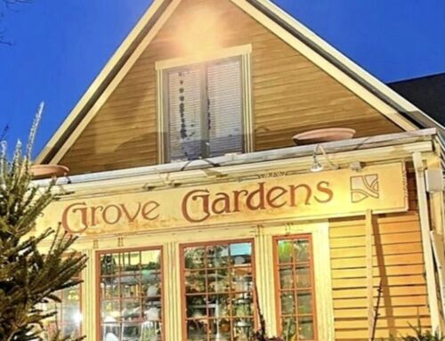 Proposed Nail Salon on Adams Street Receives Pushback from Neighbors