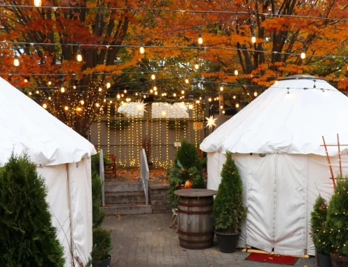 The Return of the Yurts at the Bowery Bar – Online Booking is Live